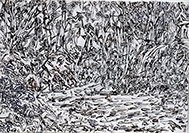 12503-Trees-BW